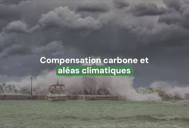 Pourquoi faut-il repenser notre approche de la compensation carbone face aux aléas climatiques