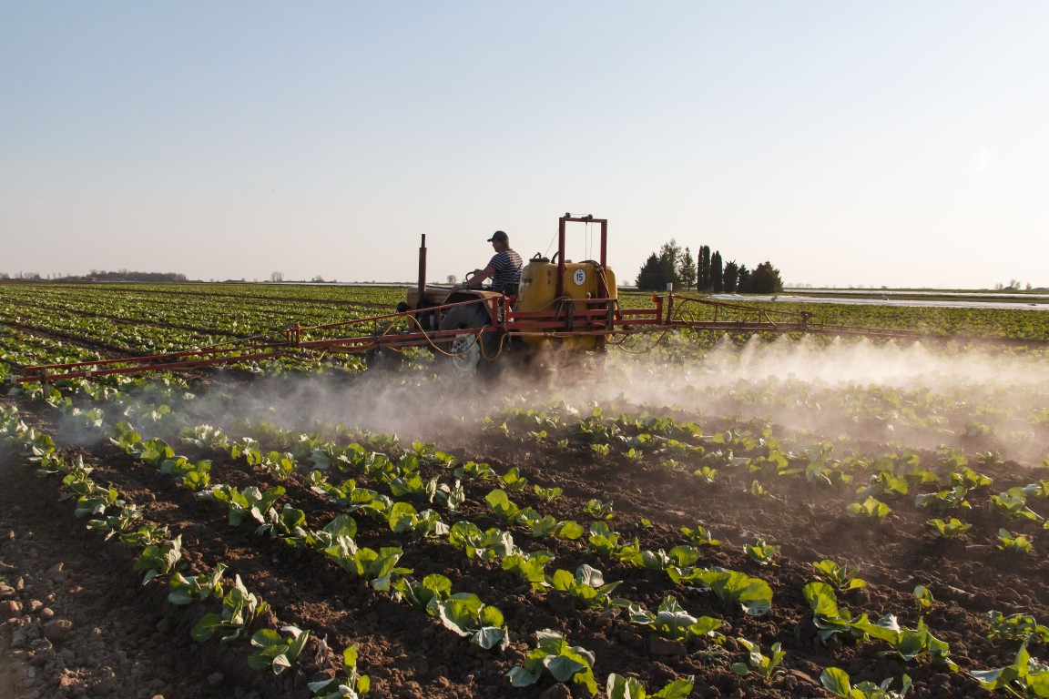 pexels-stitch-20280076.jpg